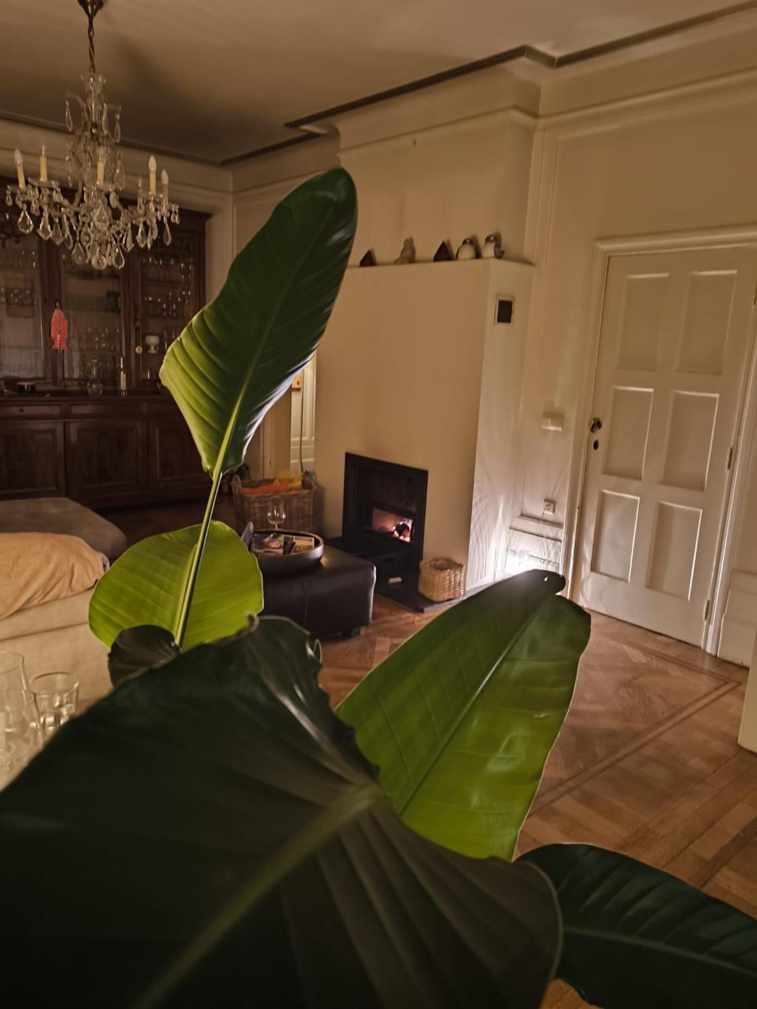 Le Castel Mosan Apartment Namur Exterior foto